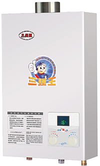 Wall-Mounted Gas Water Heater with Digital Display