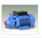 Electric Water Transfer Pump