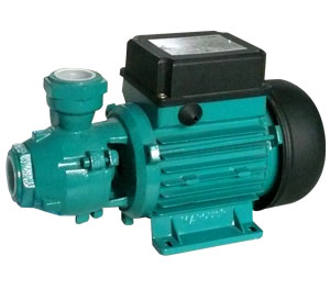 Water Transfer Pump for Irrigation and Drainage