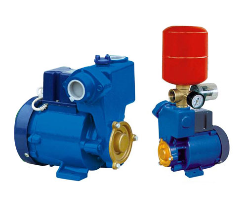 Water Pump for Pressure Boosting and Water Transfer