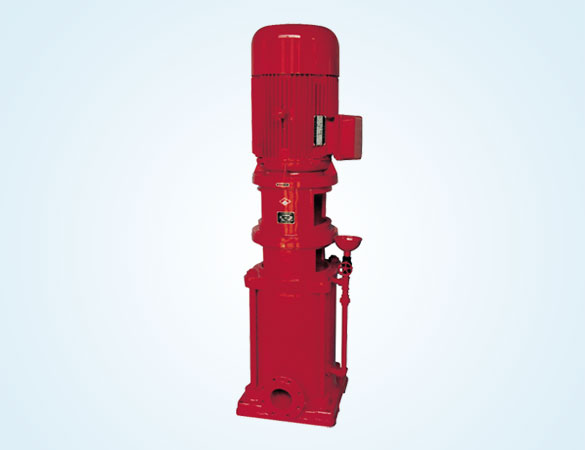 Vertical Multistage Centrifugal Pump for Clean Liquids