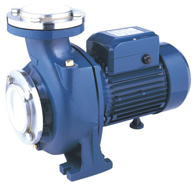 Single-Stage Centrifugal Water Pump