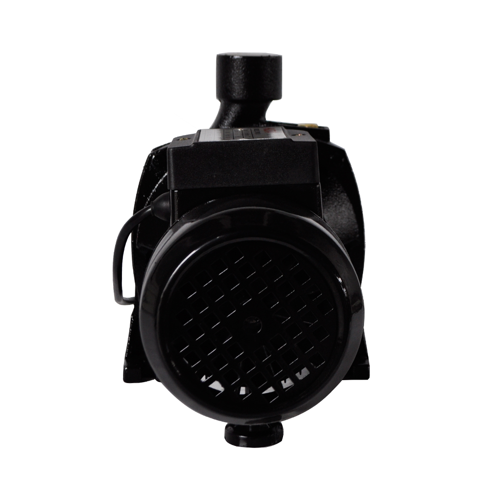 CPM-158 Water Pump