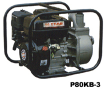 Gasoline Engine Water Pump