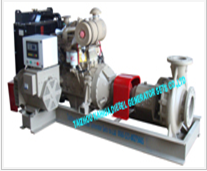 Diesel Engine Water Pump and Power Generator Set