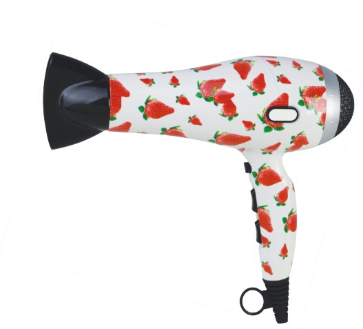 High-Performance Hair Dryer with Concentrator Nozzle