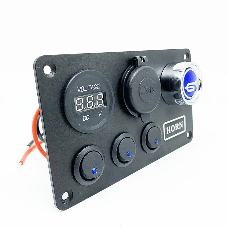 Close up of the switch panel showing individual rocker switches and horn button