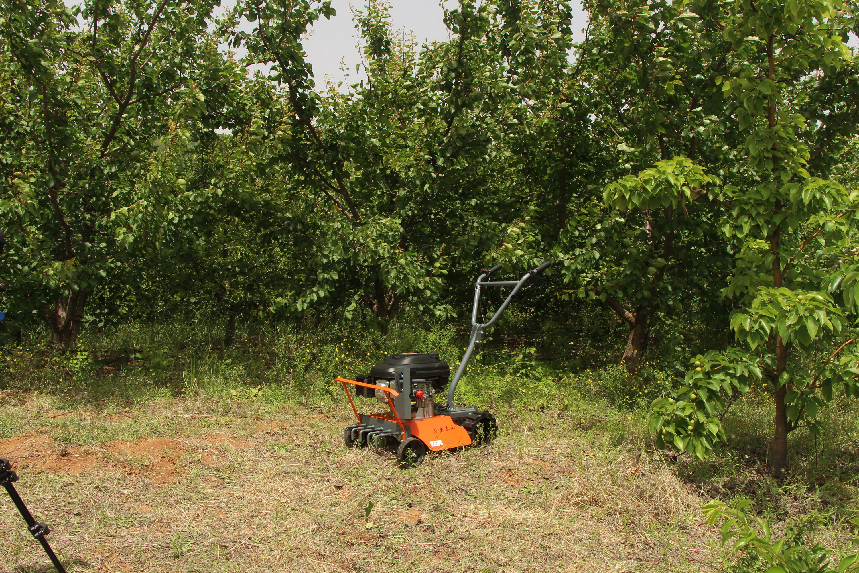 Weeder - Image 3