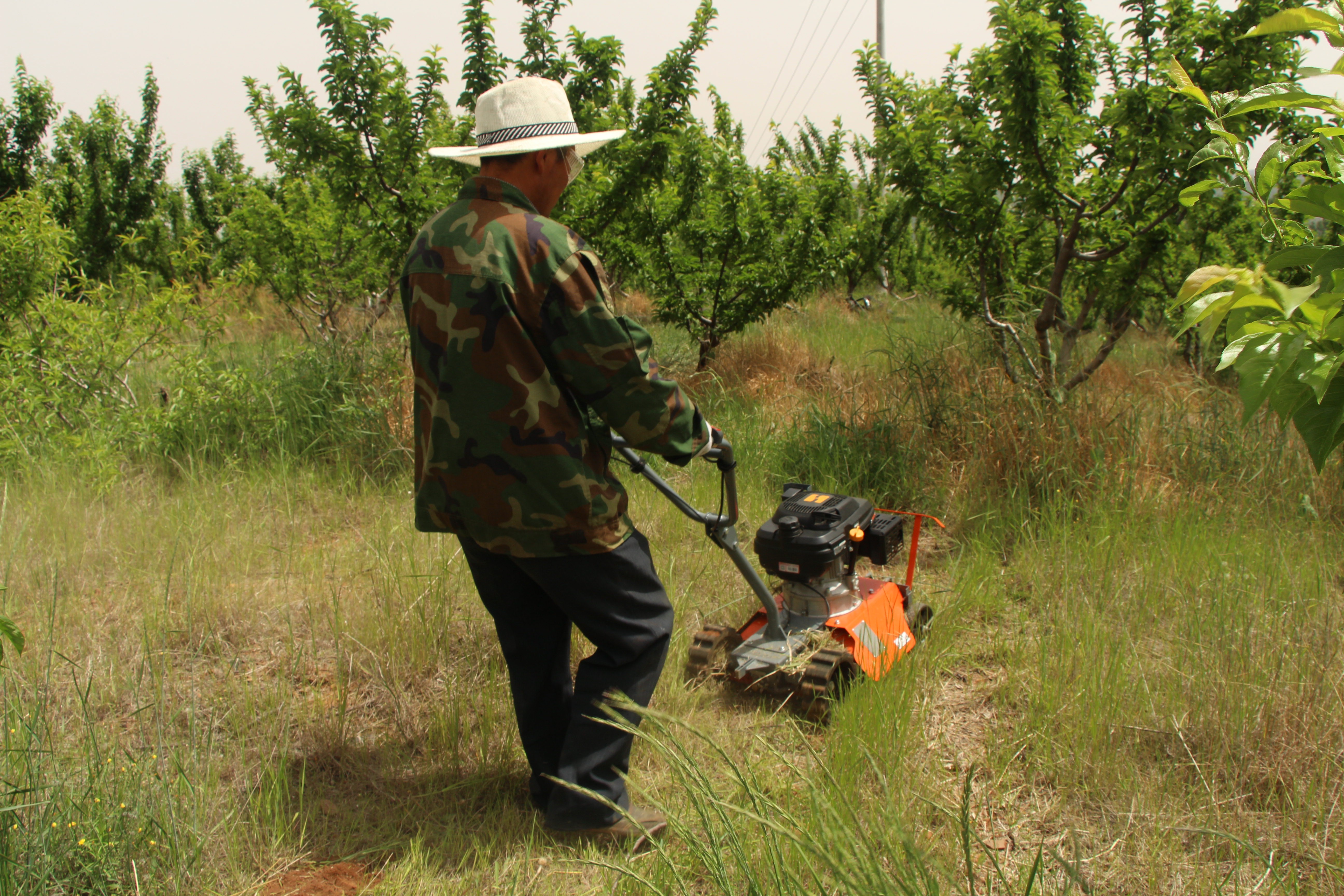 Weeder - Image 2