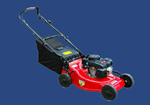 Gasoline Powered Lawn Weeder with Collection Bag