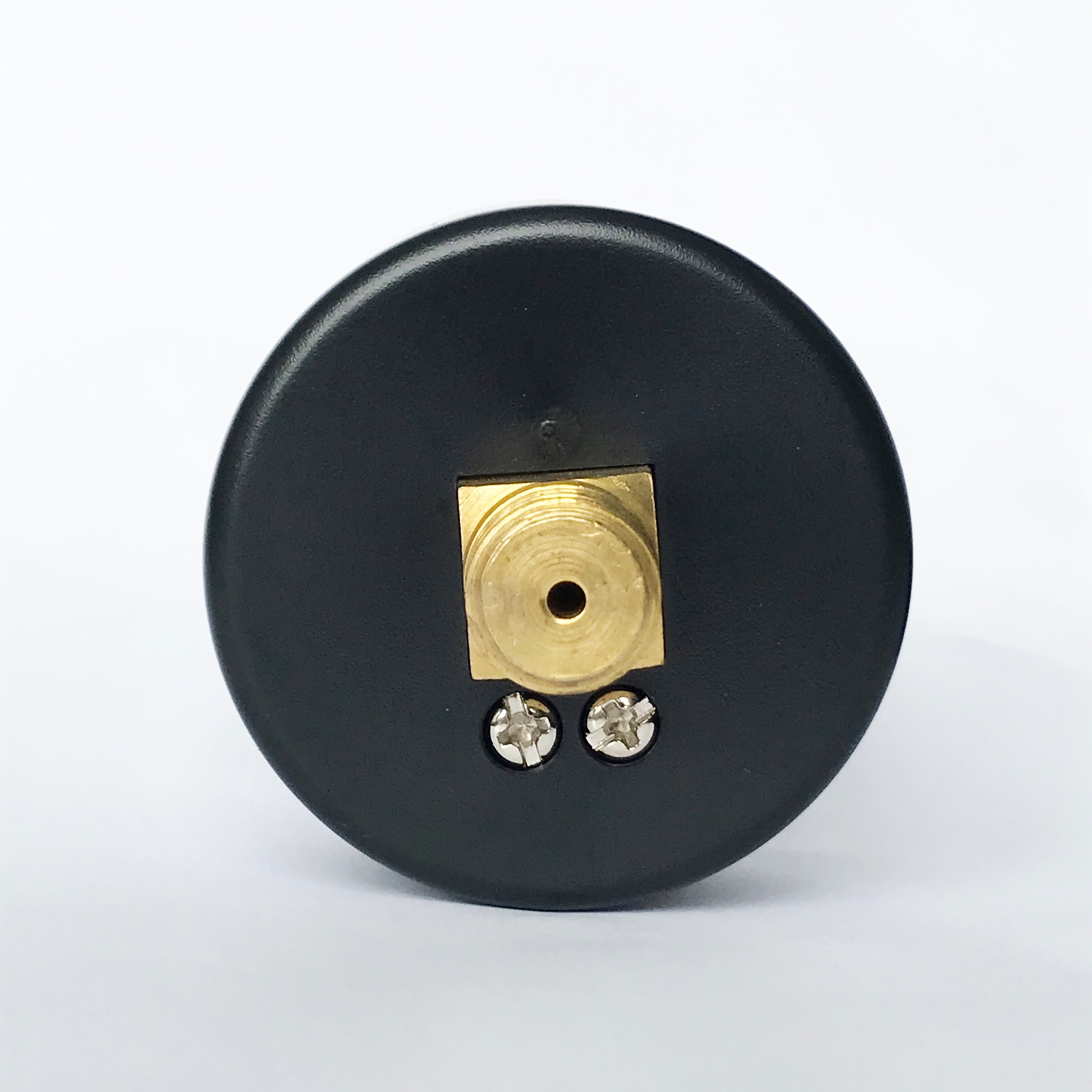 50mm Pressure Gauge with Plastic Case, 160 psi, Back Connection