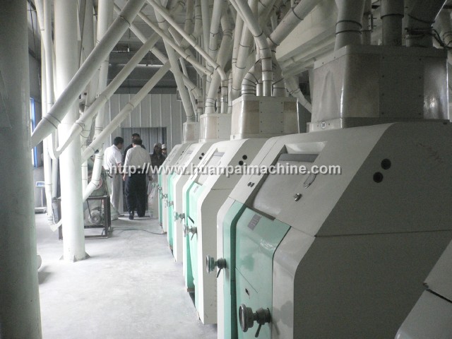 wheat milling factory,wheat plant - Image 3