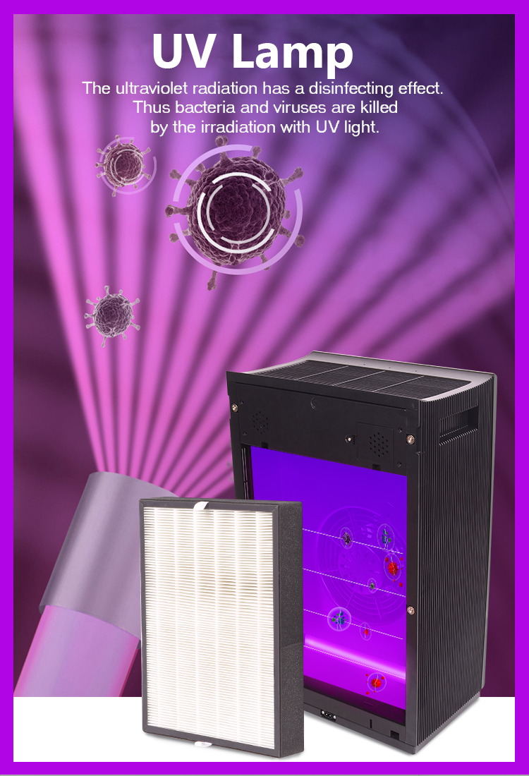 Illustration of UV light sterilization process