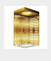 Residential Elevator with Transparent Panels
