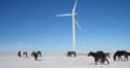 Wind Power - Image 3