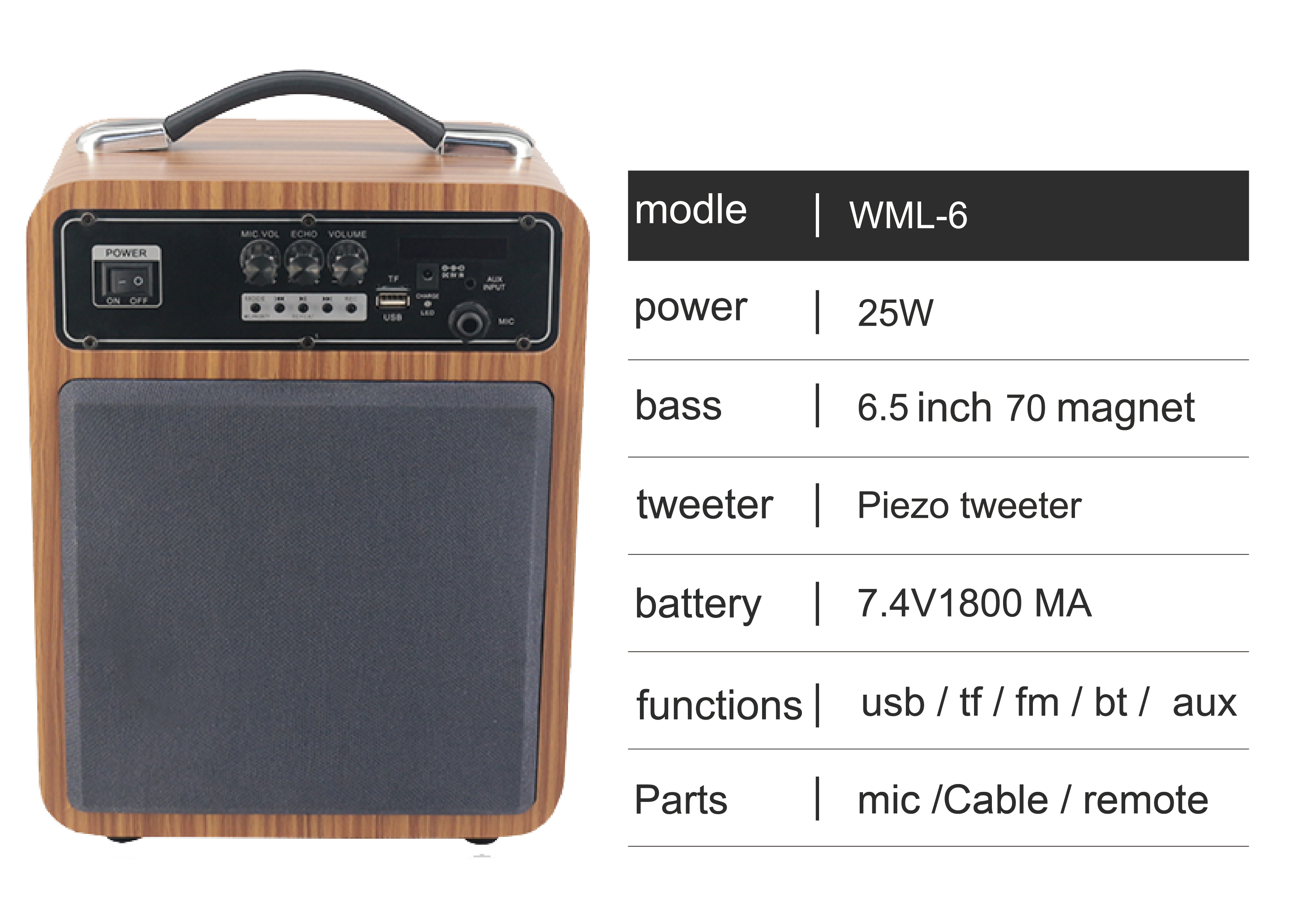 Portable Multi-Source Speaker System