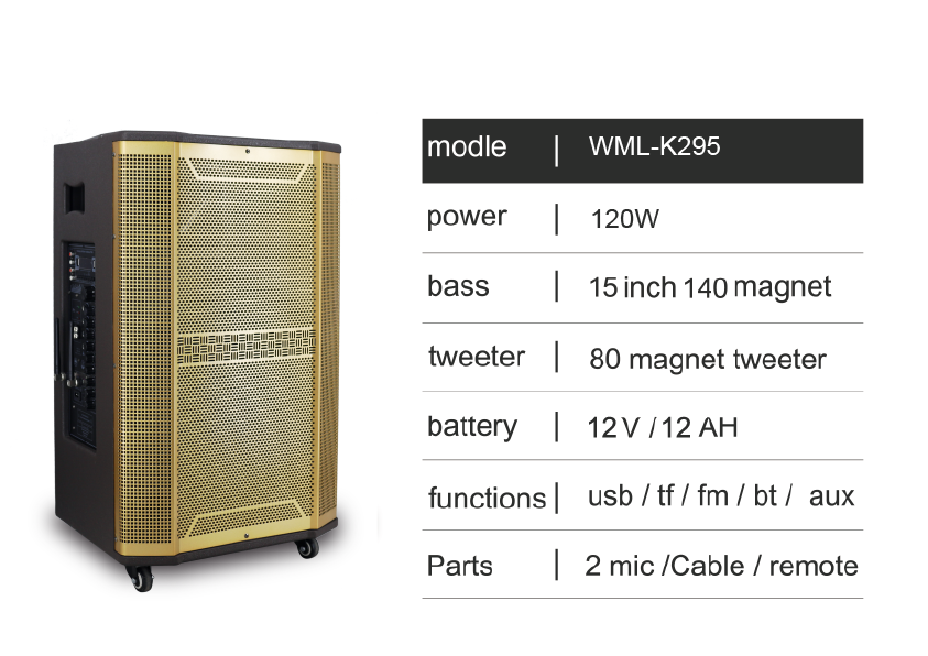 120W Portable Audio Speaker System with Dual Microphones