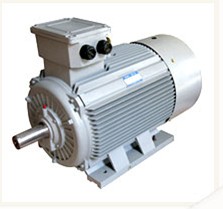Electric Motor for Woodworking Machinery