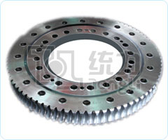 Worm Gear Slewing Ring Bearing
