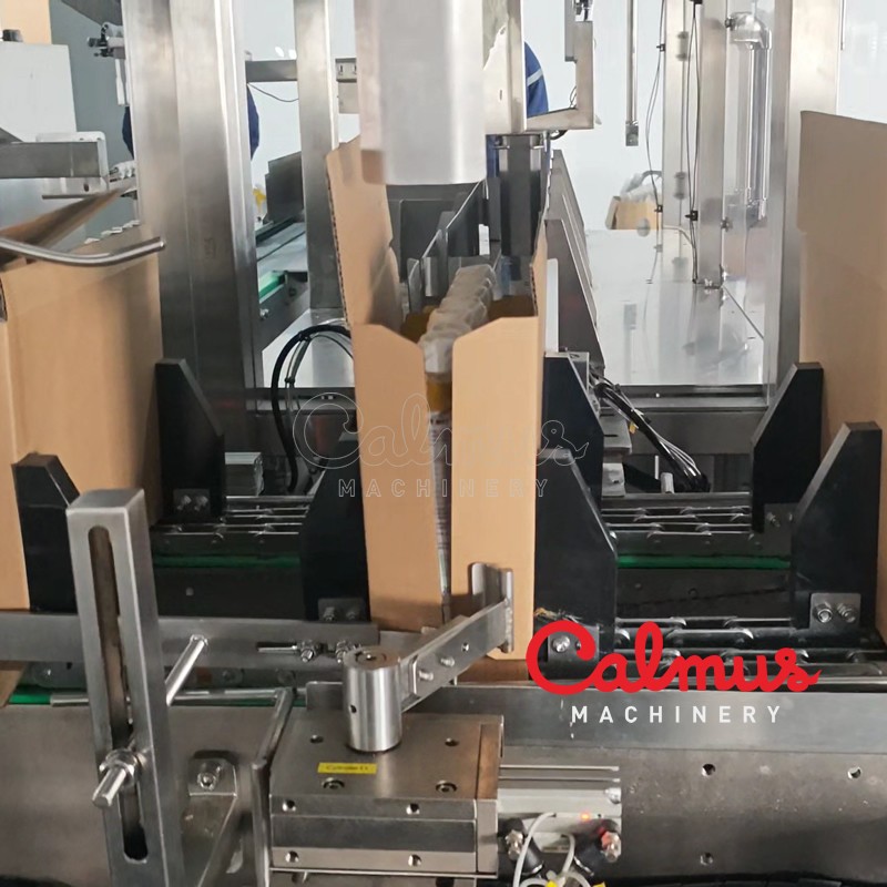 Wrap-Around Case Packer Cartoning Machine for Doypack Pouches - Image 3