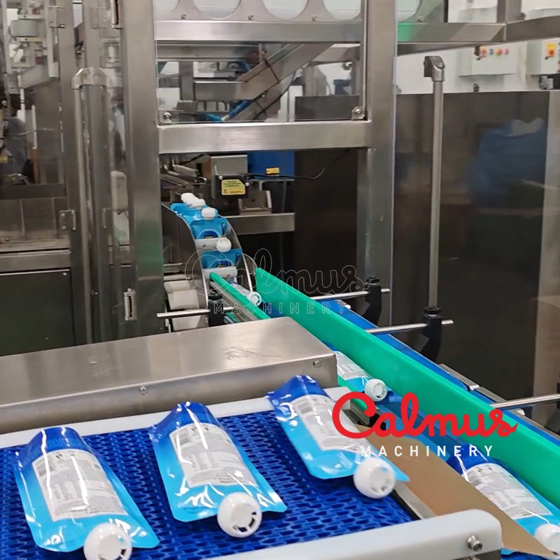 Wrap-Around Case Packer Cartoning Machine for Doypack Pouches - Image 2