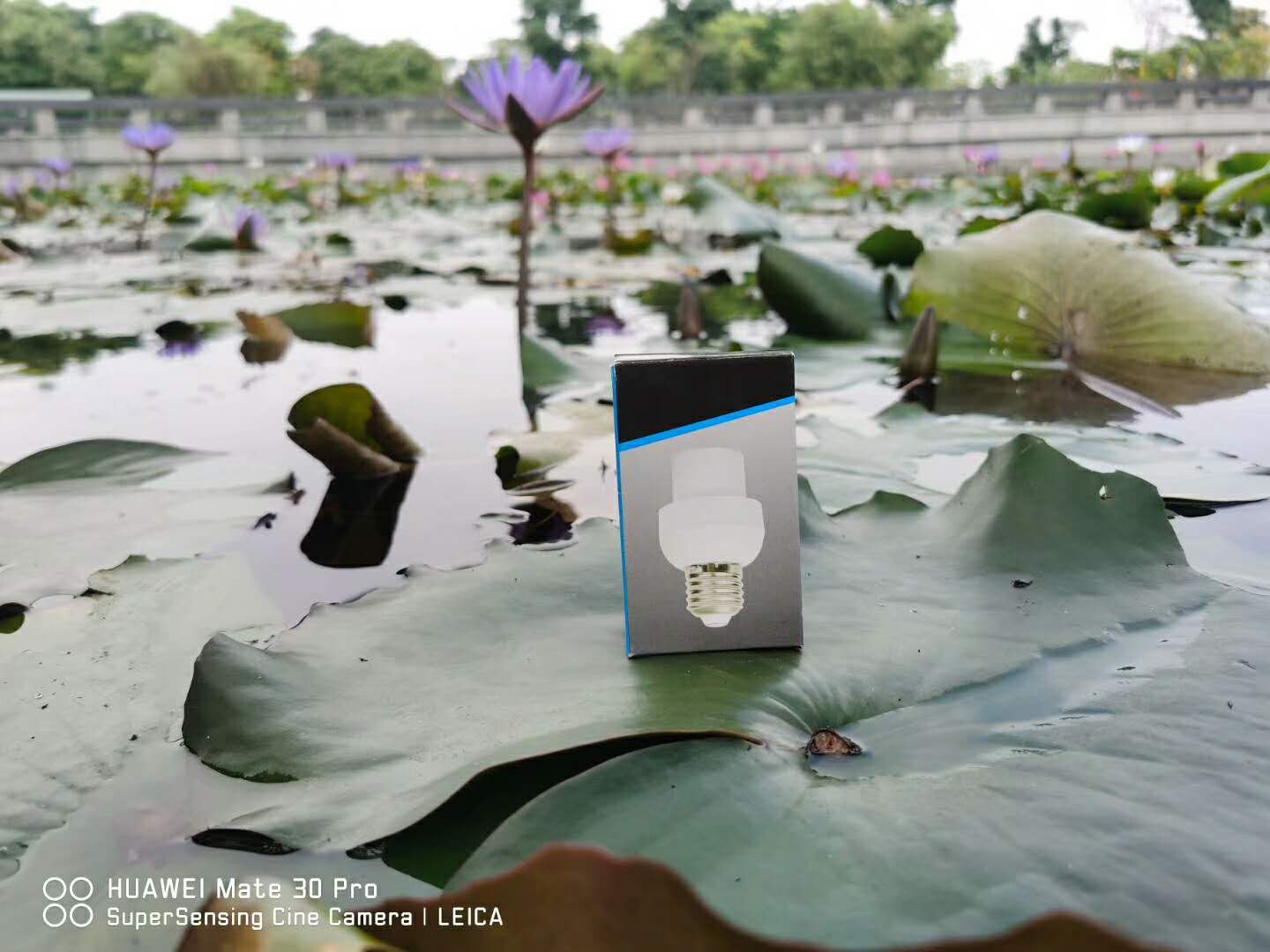 Sound and Light Sensor Lamp Base