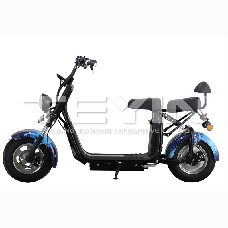 Rear view with seat and passenger backrest