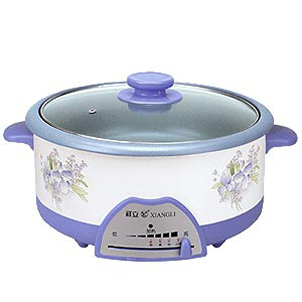 Electric Multi-Cooker with Floral Design