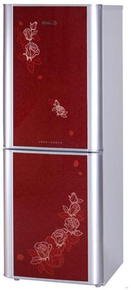 Two-Door Refrigerator with Floral Design