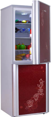Two-Door Compact Refrigerator with Floral Design