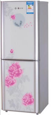 Two-Door Refrigerator with Floral Design
