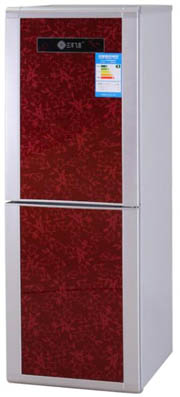 Two-Door Compact Refrigerator with Floral Design