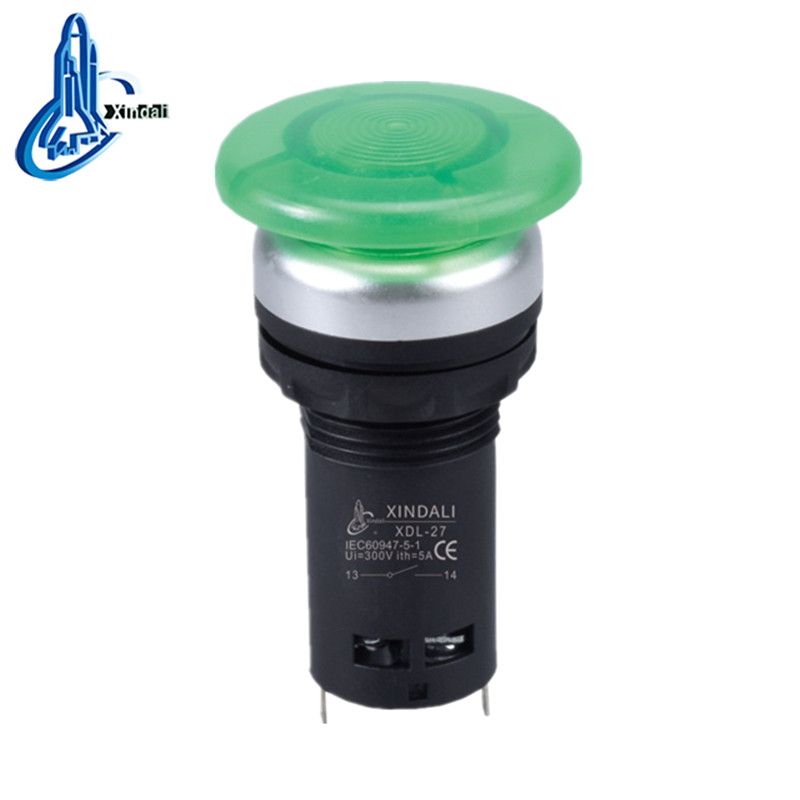 Illuminated Mushroom Head Push Button Switch IP67