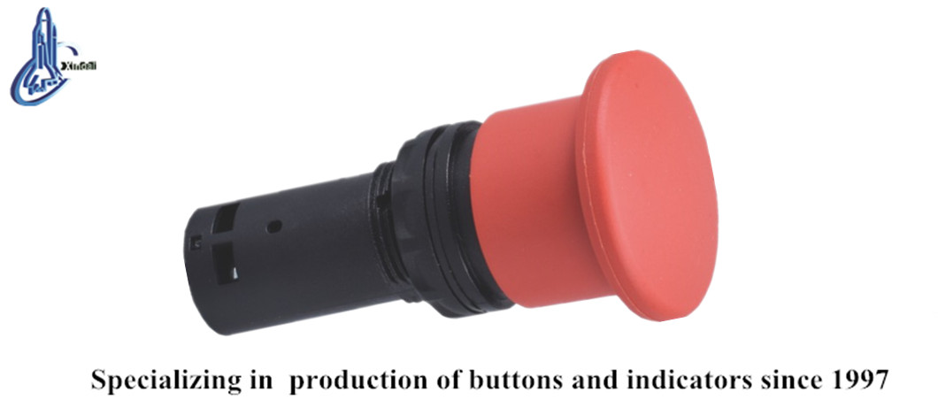 Spring return push button switch product close-up