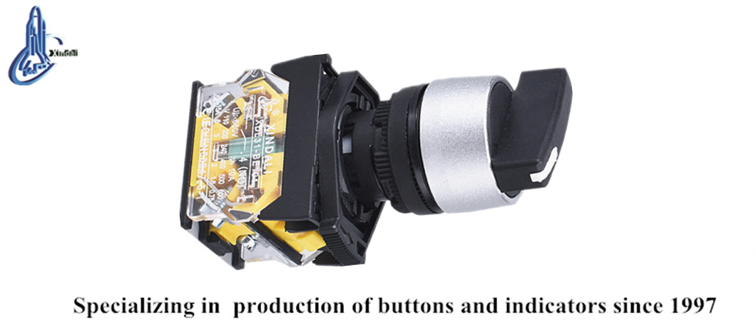 XDL31-BJ45 Selector switch industrial application