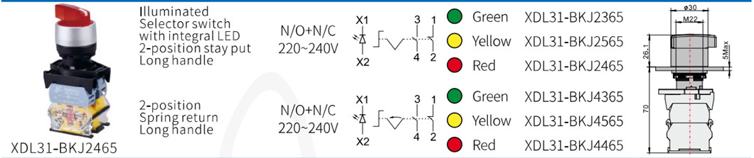 Technical diagram and configuration options for illuminated selector switch
