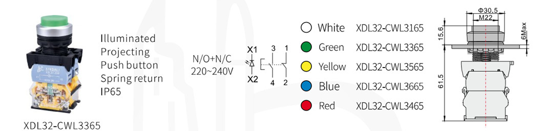 Physical dimensions and design specifications of the illuminated switch