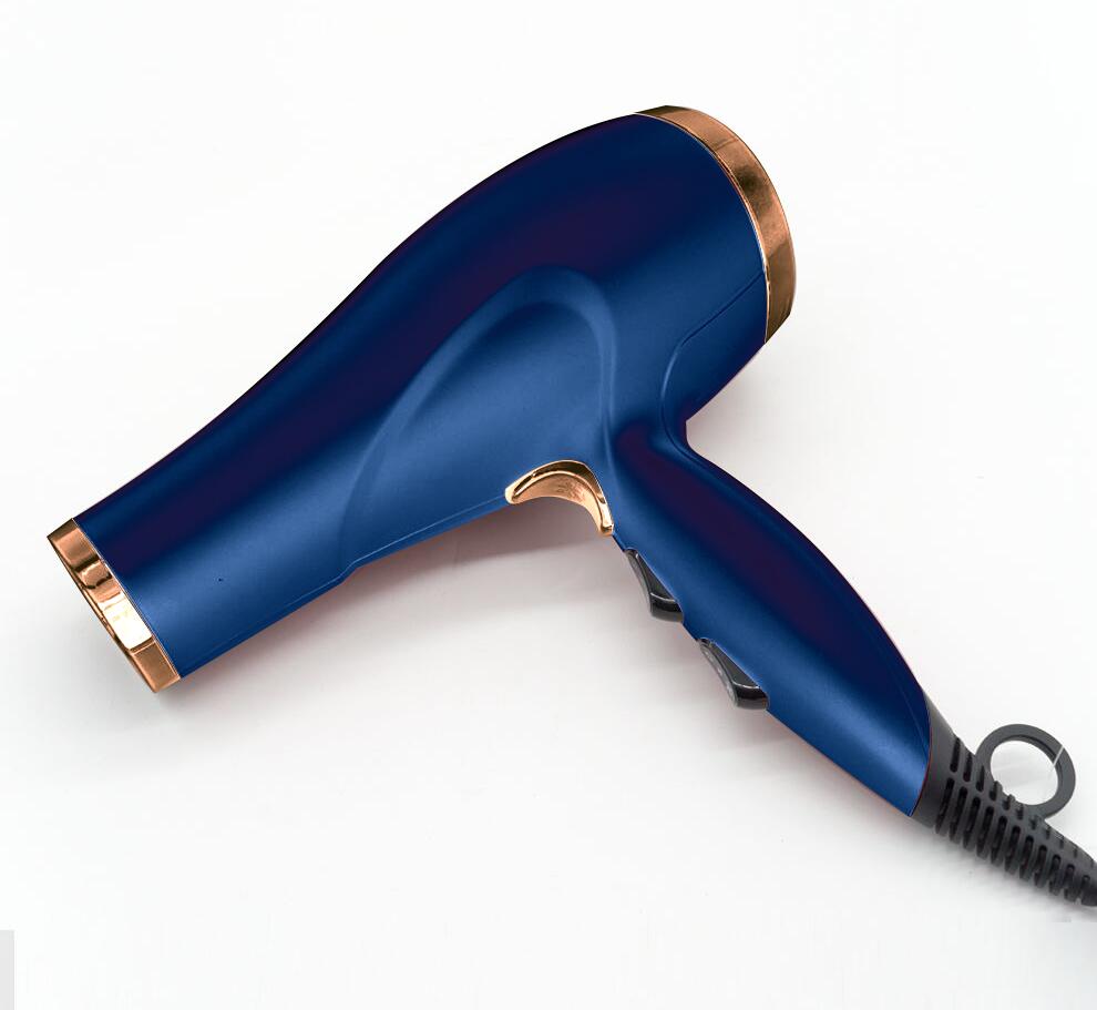 Professional Hair Dryer with Concentrator Nozzle
