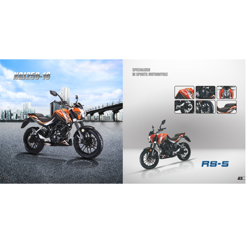 XGJ250-16 - Image 2
