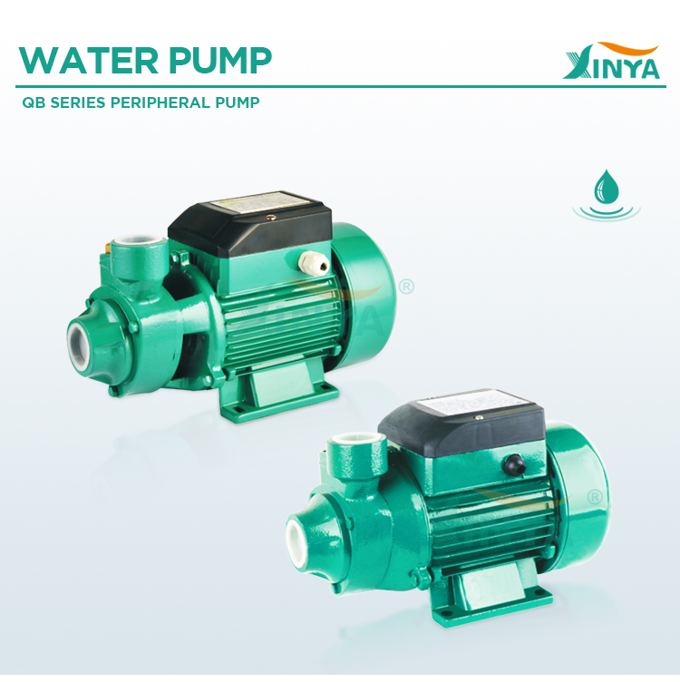 Electric Vortex Clean Water Booster Pump