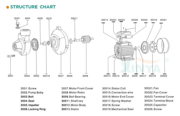 Exploded view diagram showing pump components