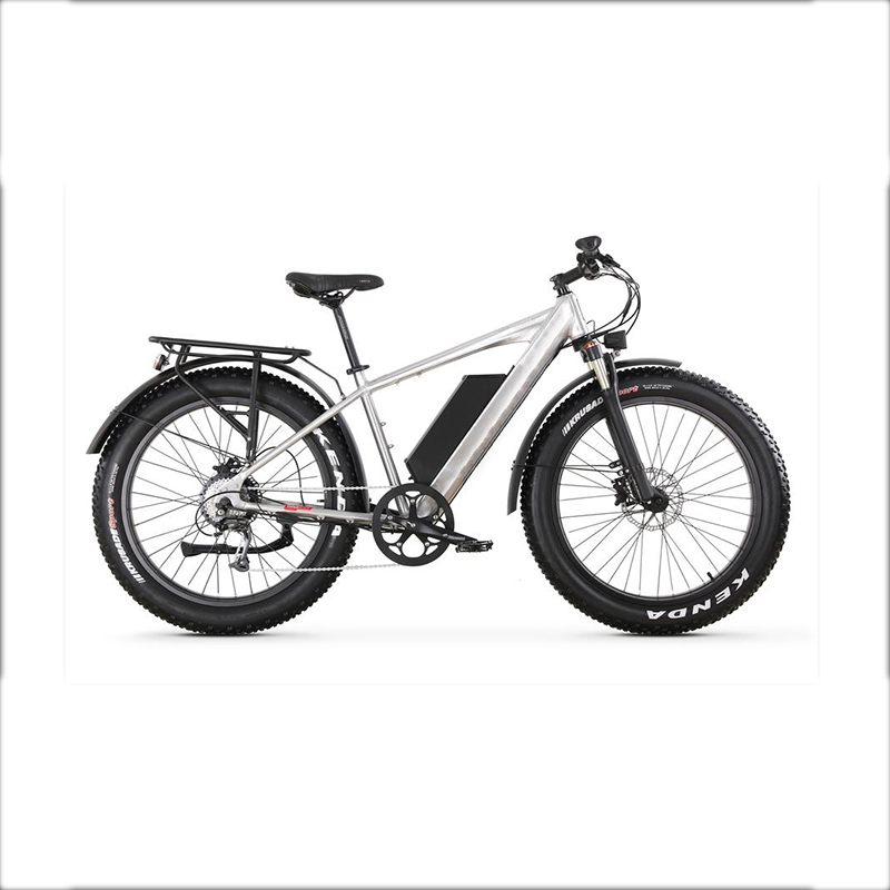 XTION NEW FAT TYRE ELECTRIC BKE NEW TIRE EBIKE - Image 2