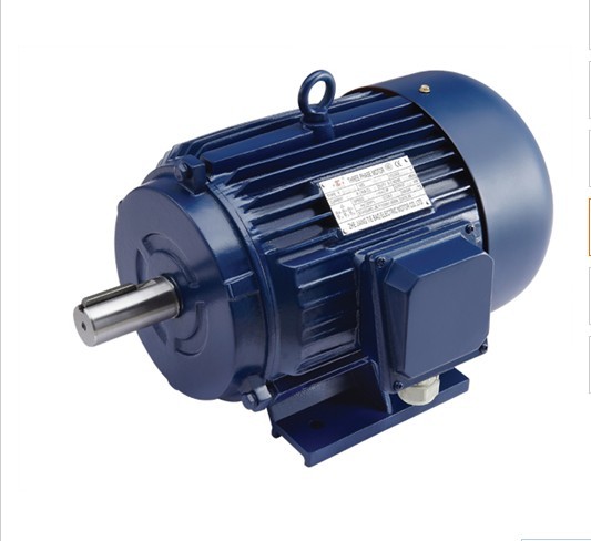 Y series three phase electric motor - Image 3