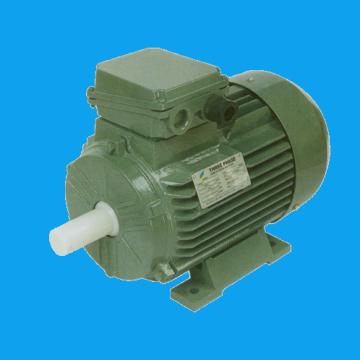 Three-Phase Induction Motor for Industrial Applications