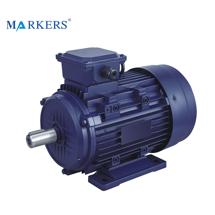 Y2 Series electric three-phase 3 phase electric asynchronous motor - Image 3