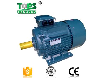 Three-Phase AC Electric Motor