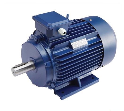 Y2 Series three phase electric motor - Image 3