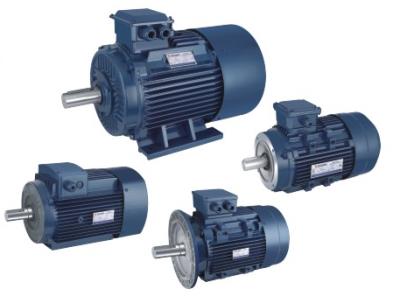 Three-Phase Squirrel Cage Induction Motor
