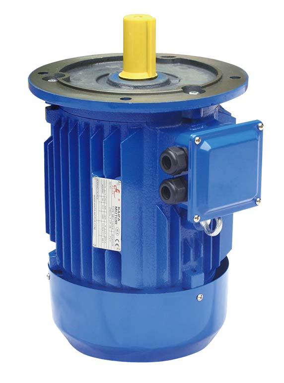 Y2 THREE PHASE CAST IRON MOTOR - Image 2