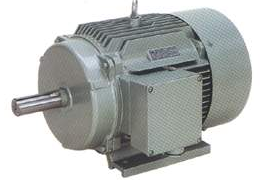 Y2.Y3 SERIES ASYNCHRONOUS MOTOR - Image 2
